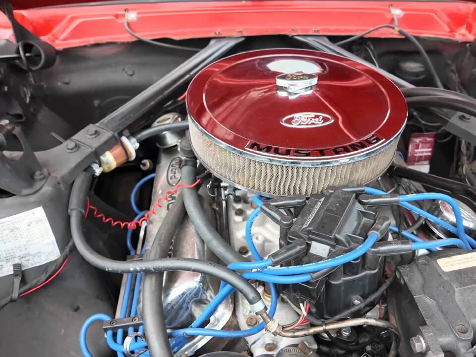 Bild 6/11 von Ford Mustang 289 (1965)