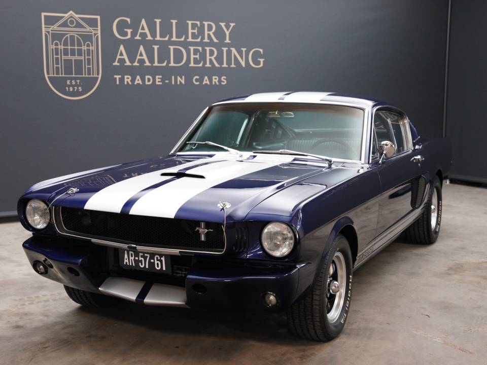 Immagine 18/50 di Ford Shelby GT 350 (1965)