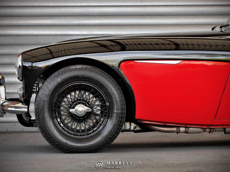 Immagine 25/68 di Austin-Healey 3000 Mk I (BT7) (1959)