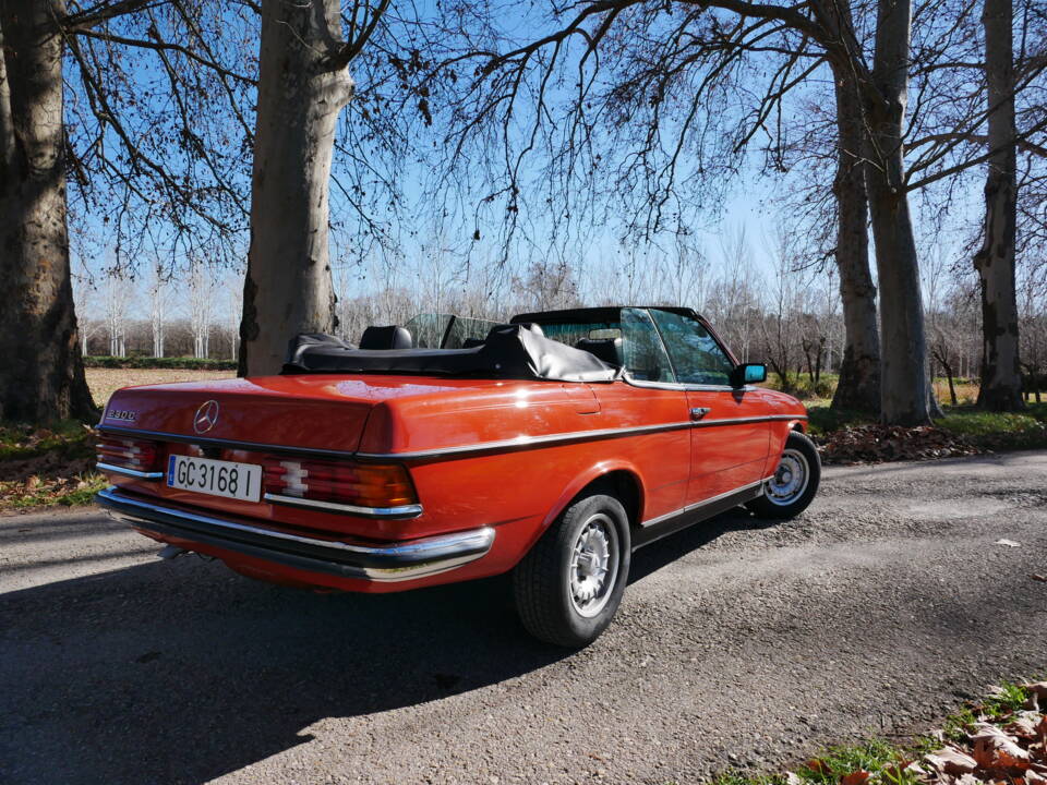 Image 12/29 de Mercedes-Benz 230 C (1977)