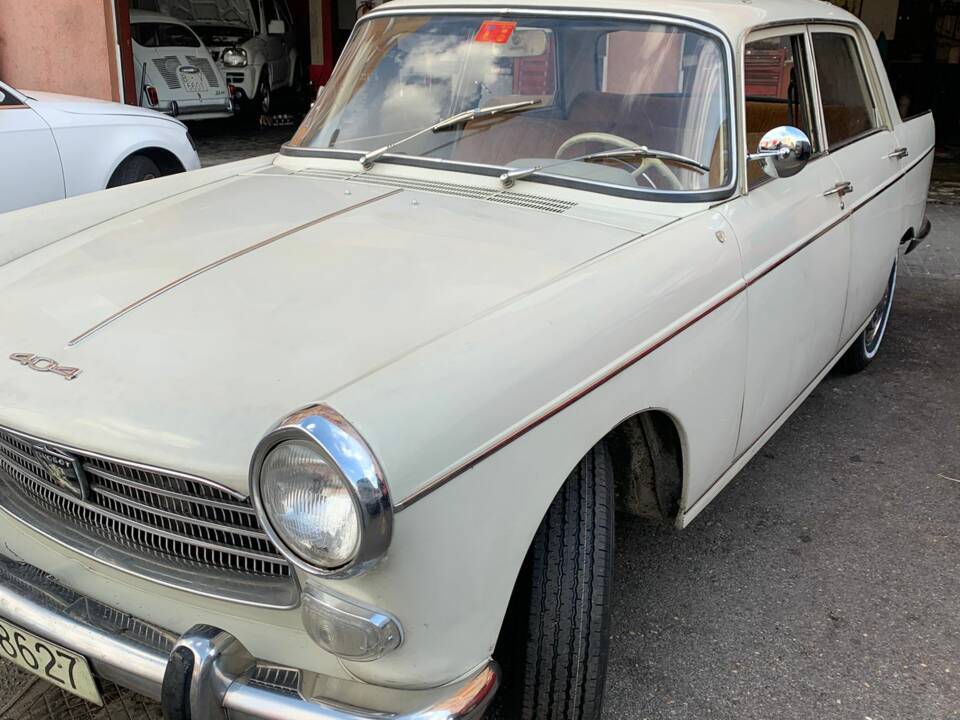 Immagine 14/52 di Peugeot 404 Break (1964)