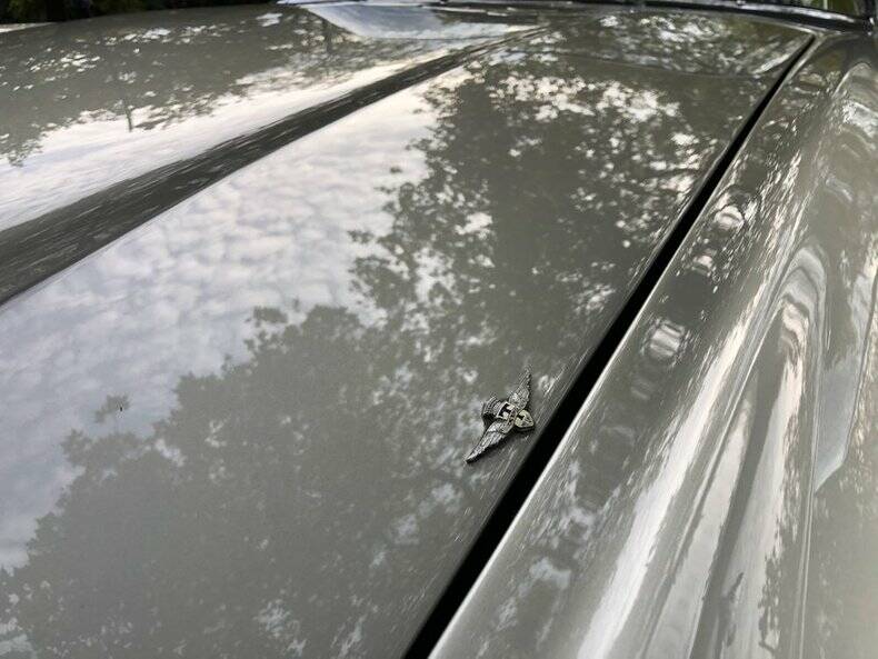 Bild 42/50 von Alfa Romeo 2600 Spider (1964)