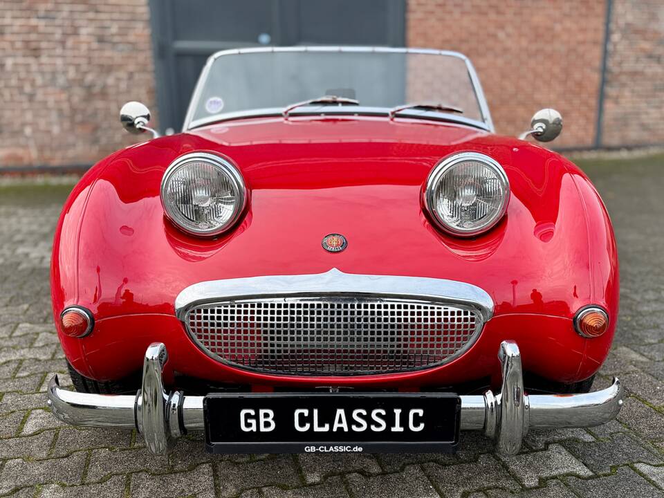 Image 1/40 of Austin-Healey Sprite Mk I (1958)