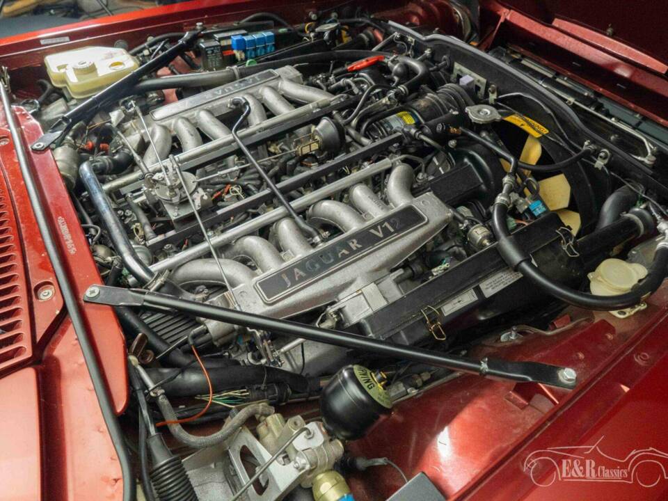Image 5/19 de Jaguar XJS 5.3 V12 (1992)