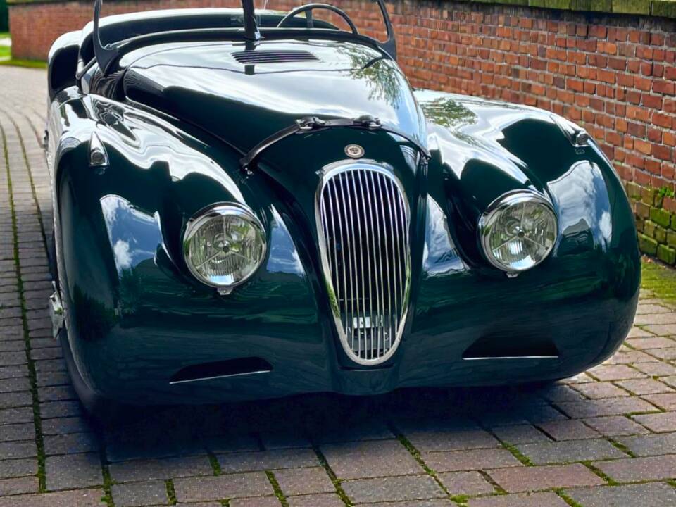 Bild 6/12 von Jaguar XK 120 OTS (1952)