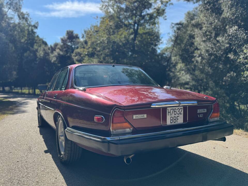 Immagine 29/41 di Jaguar XJ 12 (1990)