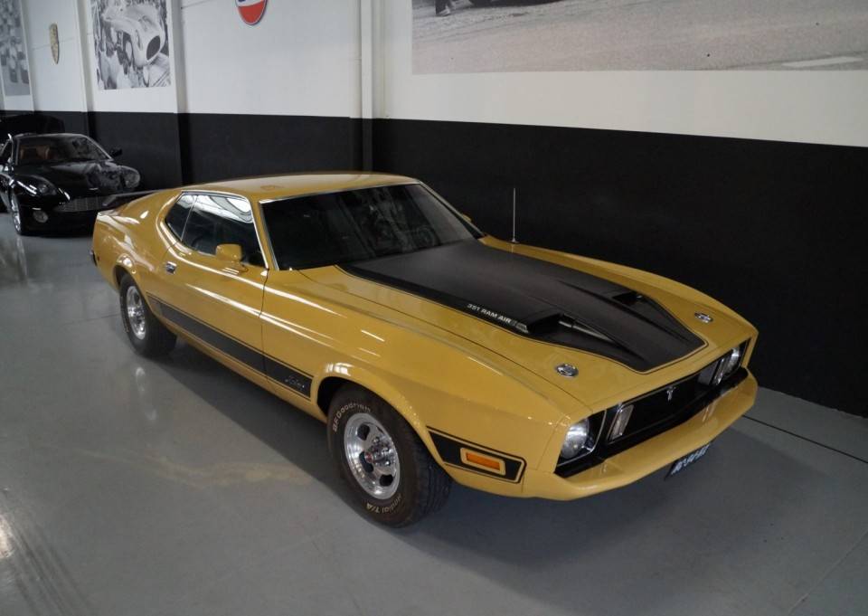 Image 4/46 of Ford Mustang Mach 1 (1972)