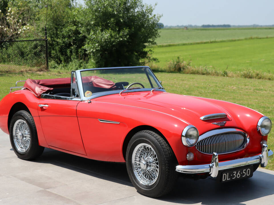 Image 20/50 of Austin-Healey 3000 Mk III (BJ8) (1964)