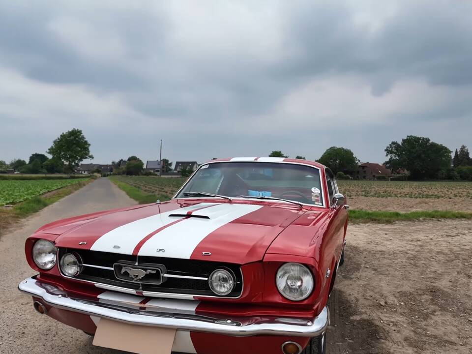 Bild 11/11 von Ford Mustang 289 (1965)