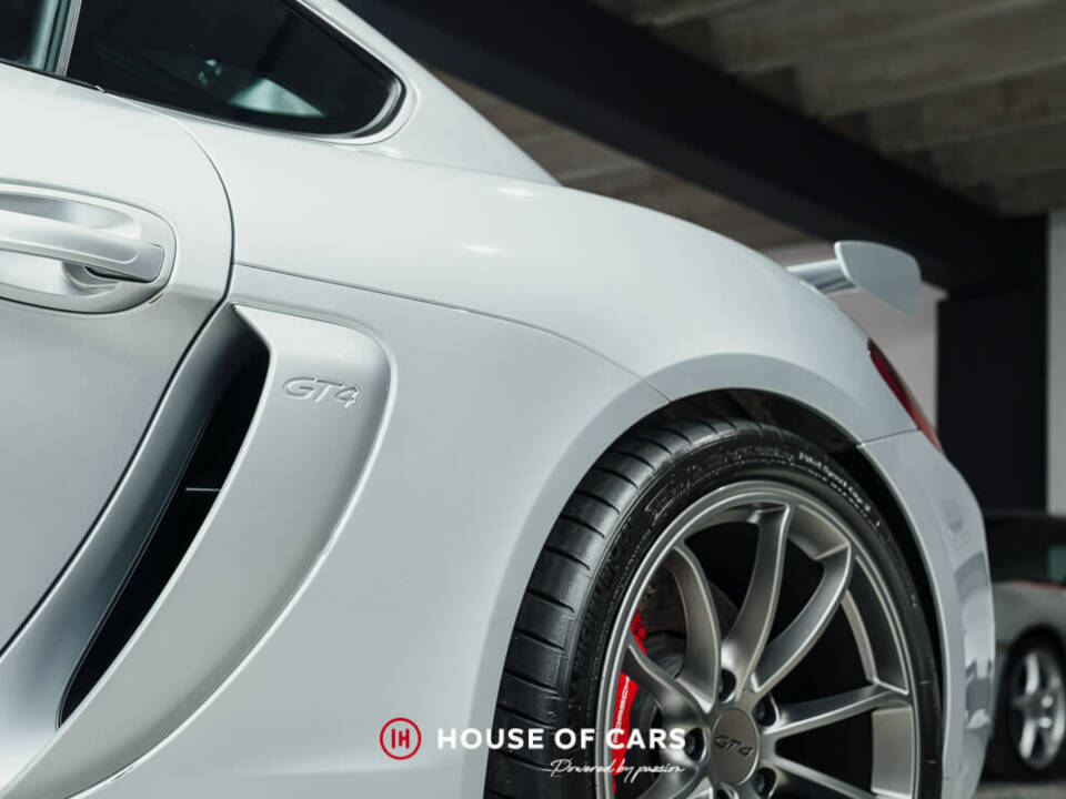 Immagine 14/24 di Porsche Cayman GT4 (2016)