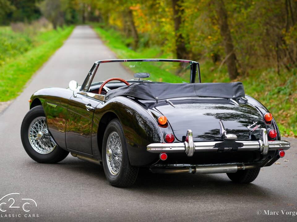 Image 41/51 of Austin-Healey 3000 Mk III (BJ8) (1967)