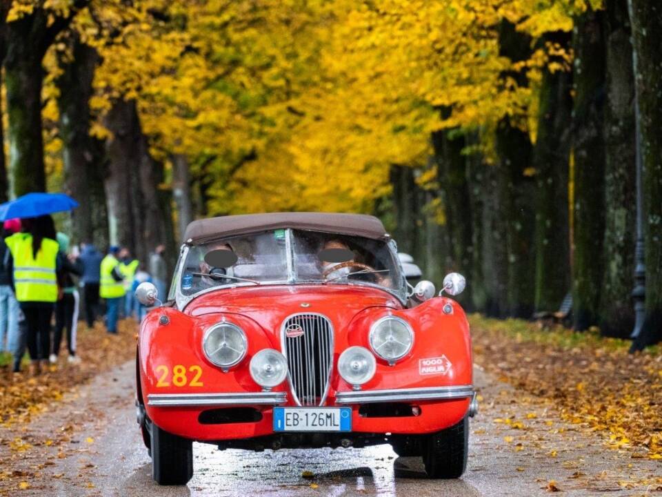 Bild 37/45 von Jaguar XK 120 SE OTS (1954)