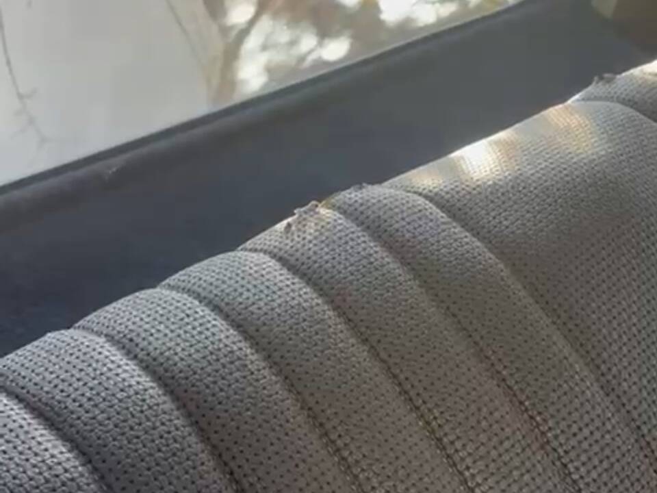 Afbeelding 10/54 van Citroën 2 CV 6 Club (1985)