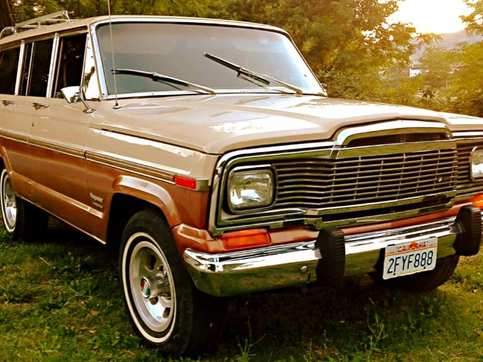 Image 4/14 de Jeep Wagoneer Limited (1979)