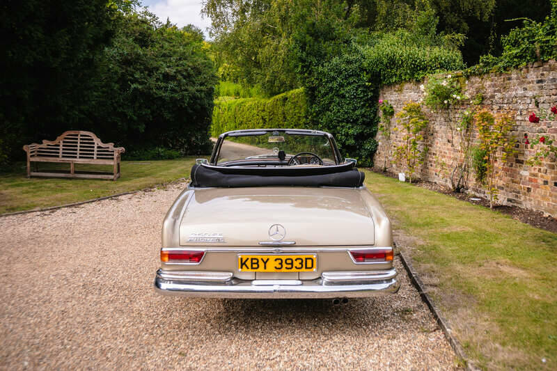 Image 22/50 of Mercedes-Benz 250 SE (1966)