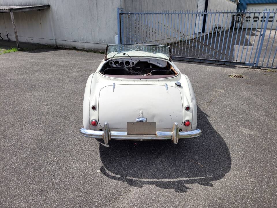 Immagine 4/16 di Austin-Healey 3000 Mk I (BT7) (1960)