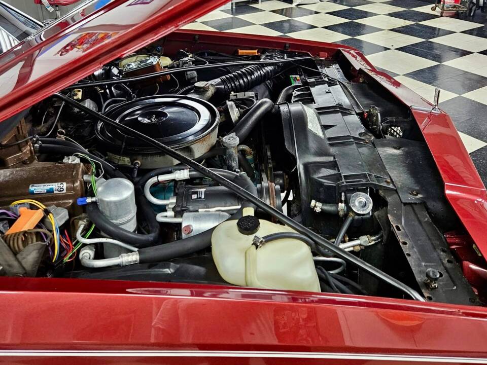 Immagine 19/20 di Oldsmobile Delta 88 Royale (1978)