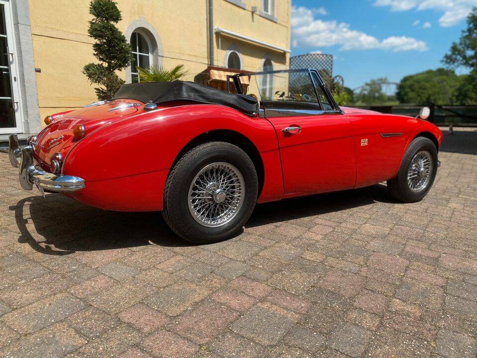 Immagine 3/11 di Austin-Healey 3000 Mk III (BJ8) (1966)