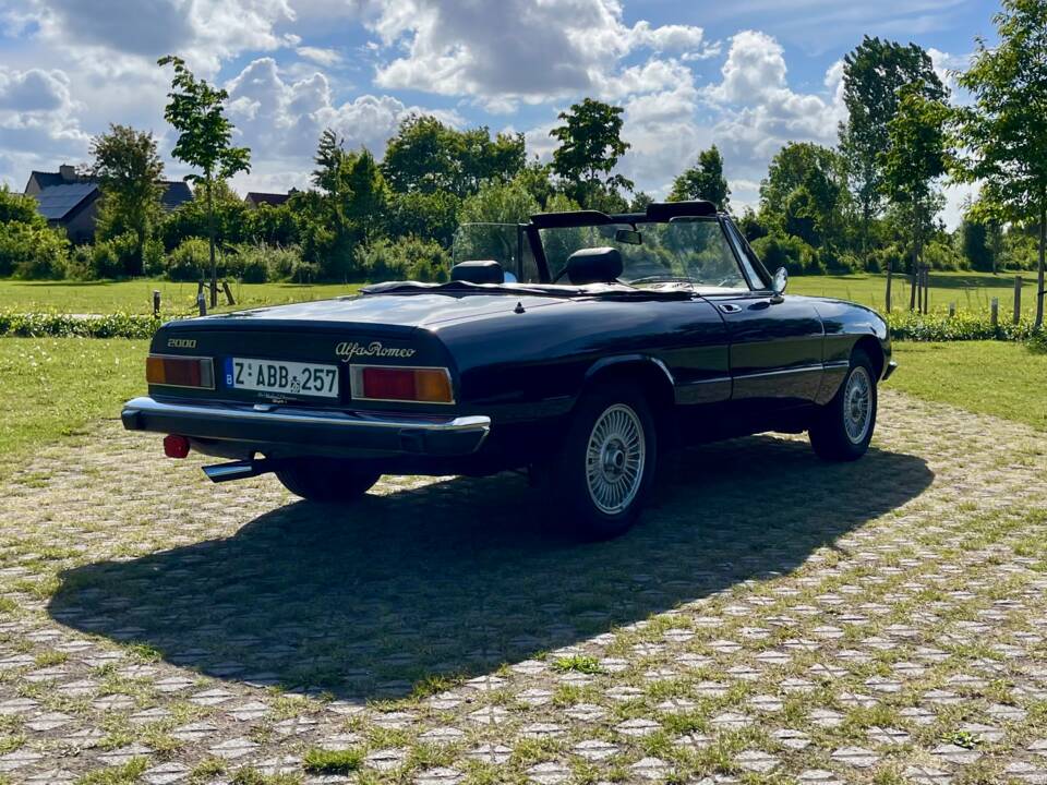 Bild 6/22 von Alfa Romeo 2000 Spider Veloce (1979)
