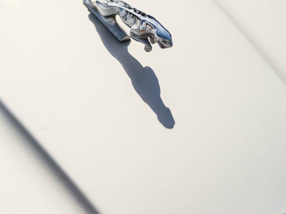 Image 7/50 of Jaguar XJ 6 4.2 (1982)