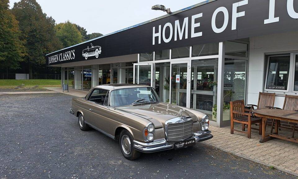 Bild 1/30 von Mercedes-Benz 280 SE 3,5 (1971)