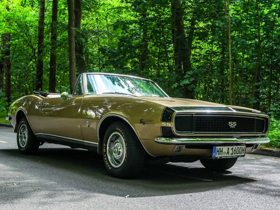 Bild 1/181 von Chevrolet Camaro SS (1967)