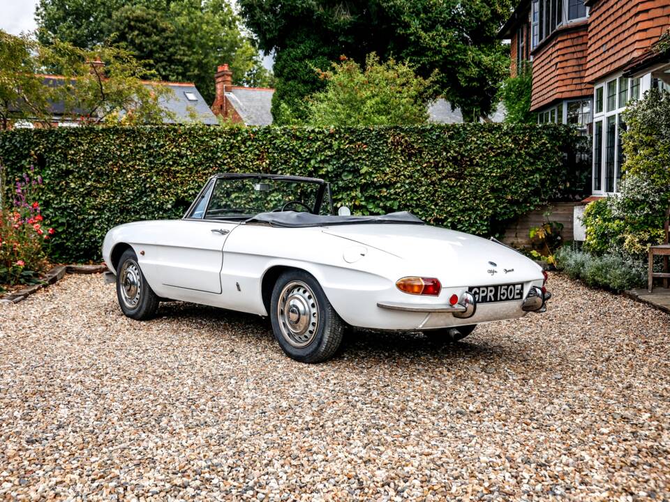 Immagine 10/35 di Alfa Romeo 1600 Spider Duetto (1967)