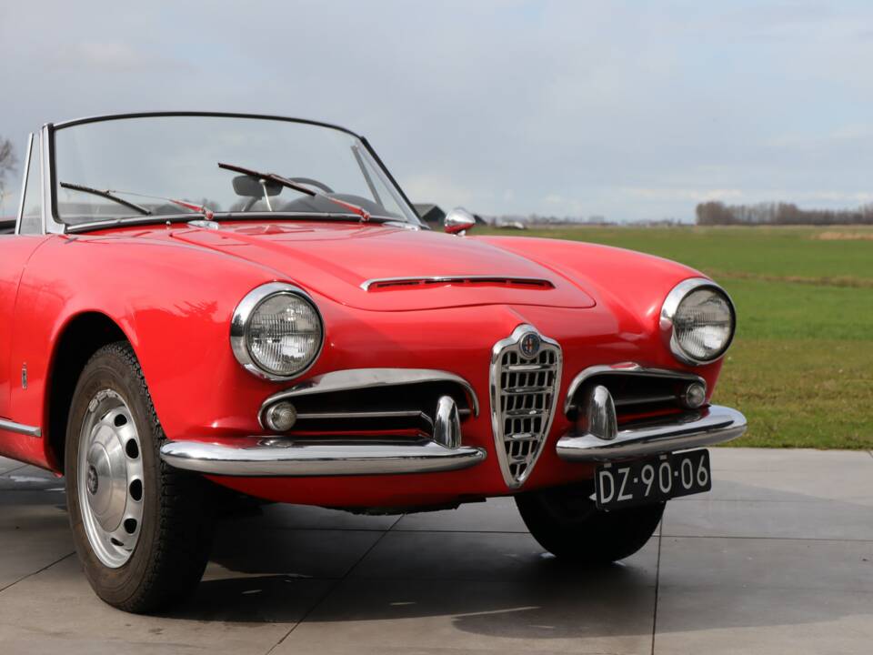Bild 43/50 von Alfa Romeo Giulia 1600 Spider Veloce (1965)