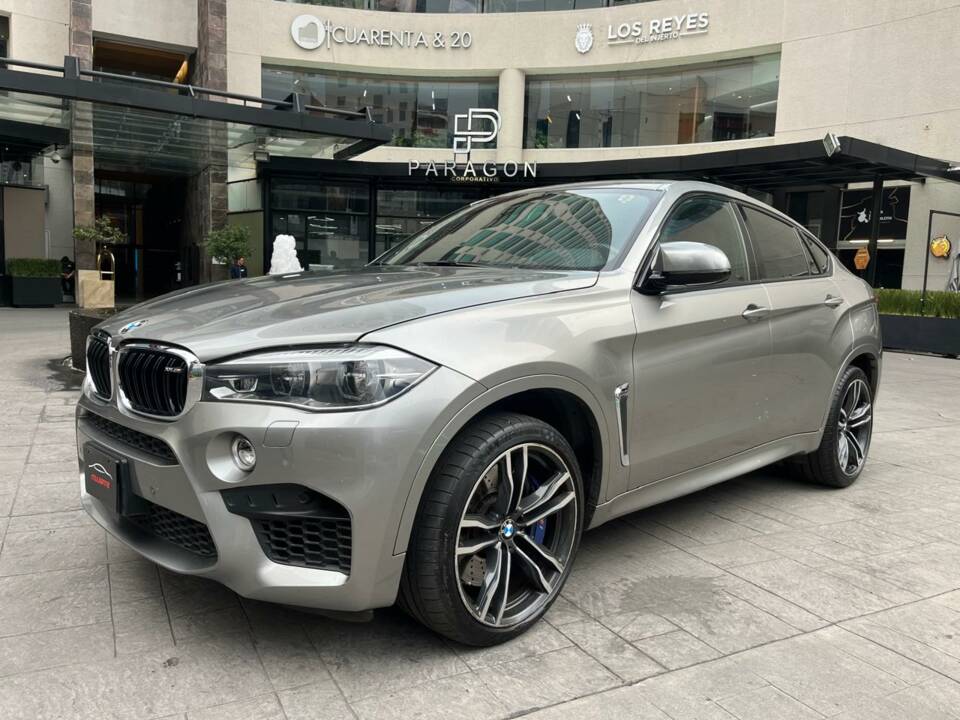 Bild 1/5 von BMW X6 xDrive 40d (2018)