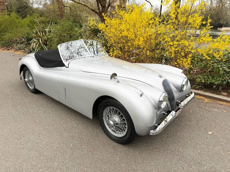 Image 23/50 of Jaguar XK 120 OTS (1953)