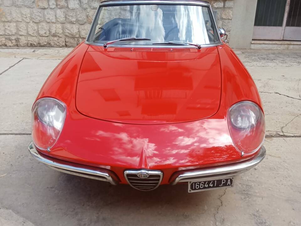 Image 1/50 of Alfa Romeo 1600 Spider Duetto (1966)