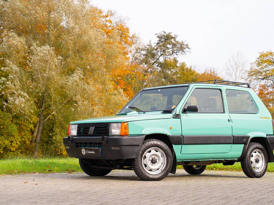Afbeelding 3/39 van FIAT Panda Trecking 4x4 (2000)