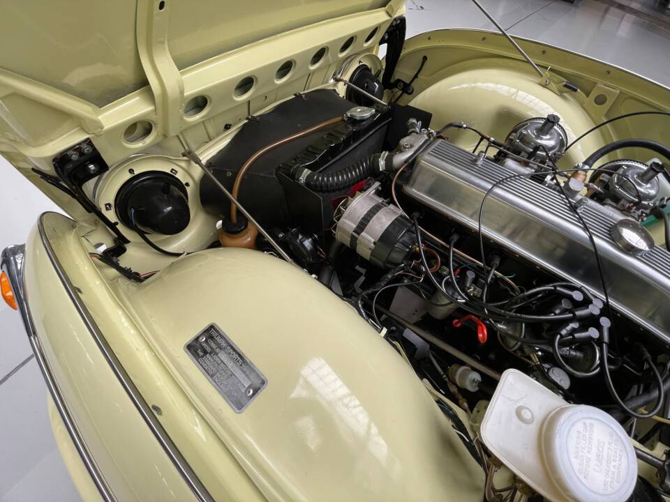 Afbeelding 22/39 van Triumph TR 250 (1967)