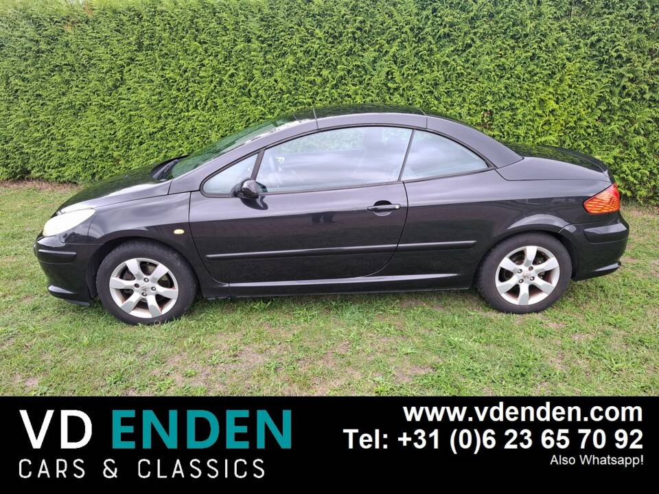 Bild 22/23 von Peugeot 307 CC 2.0i (2005)