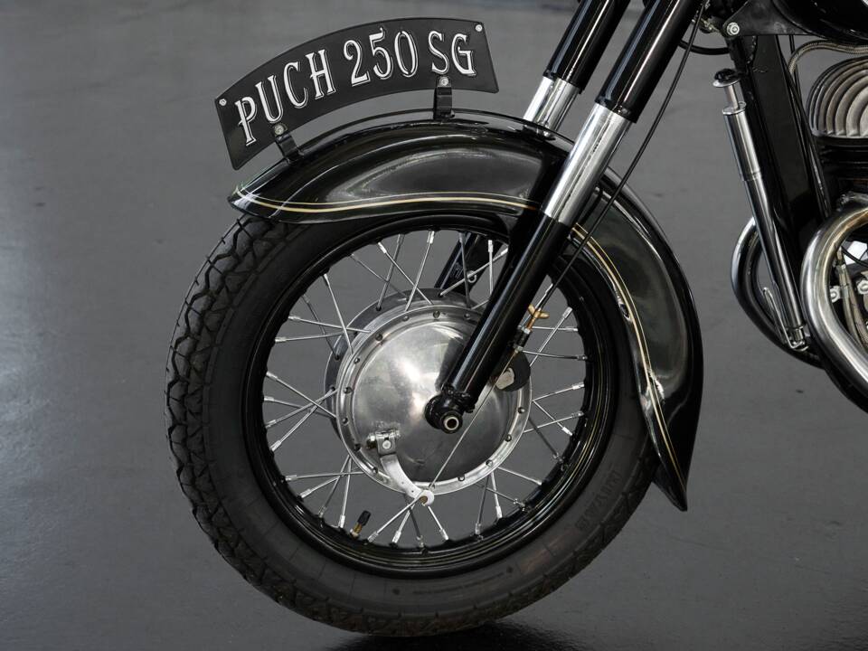 Image 7/20 of Puch 250 SG (1955)