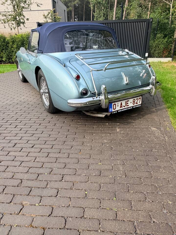 Afbeelding 9/21 van Austin-Healey 3000 Mk II (BJ7) (1963)