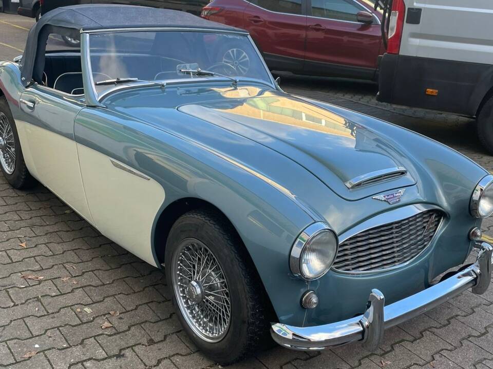 Bild 1/12 von Austin-Healey 3000 Mk I (BN7) (1961)
