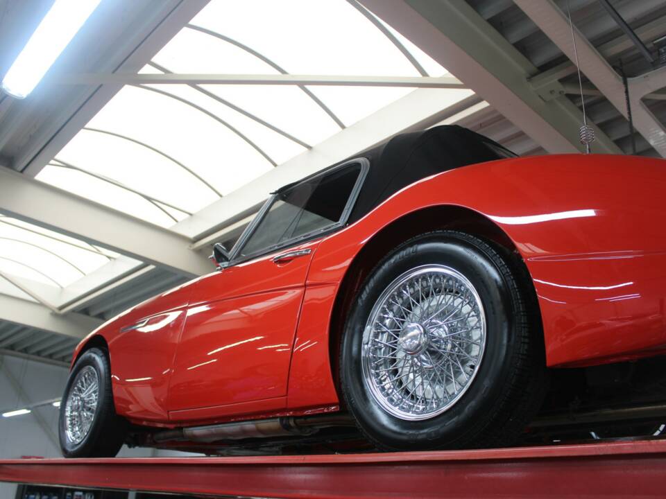 Image 18/50 de Austin-Healey 100/6 (BN4) (1959)