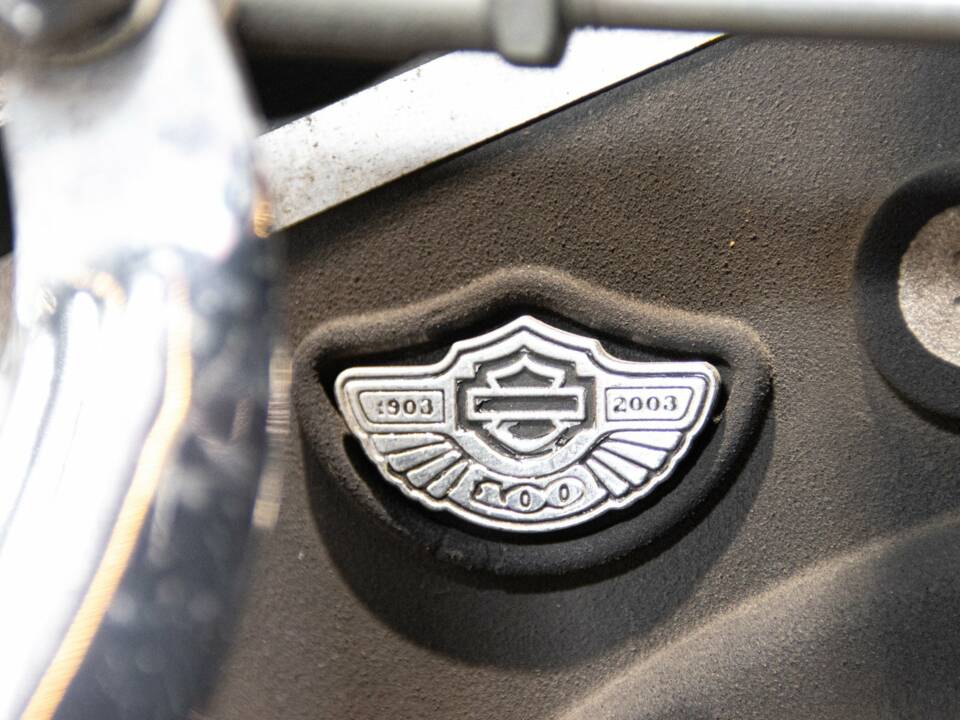 Bild 42/50 von Harley-Davidson DUMMY (2003)
