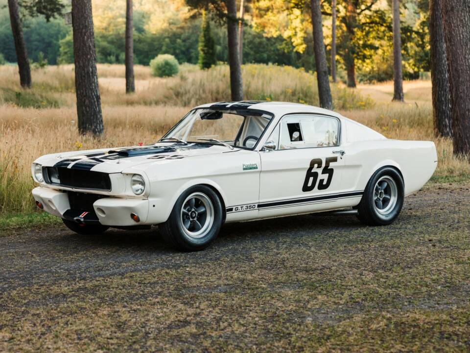 Imagen 1/19 de Ford Shelby GT 350 (1965)