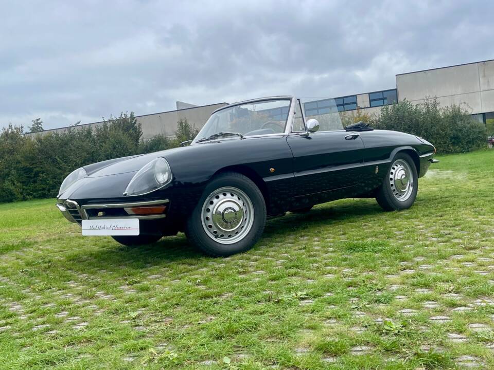 Bild 12/24 von Alfa Romeo 1600 Duetto (1966)