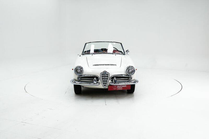 Immagine 5/15 di Alfa Romeo Giulia 1600 Spider Veloce (1965)