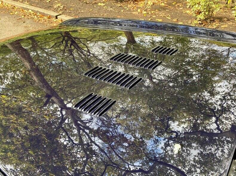 Image 13/42 of Bristol 411 Mk. V (1975)