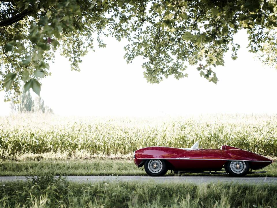 Bild 3/14 von Alfa Romeo Disco Volante (1954)
