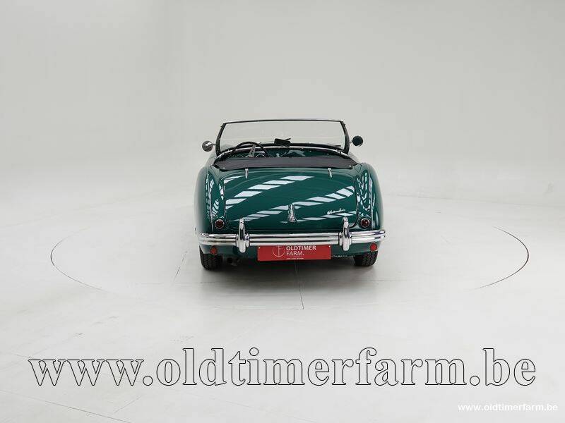 Imagen 7/15 de Austin-Healey 100&#x2F;4 (BN1) (1954)