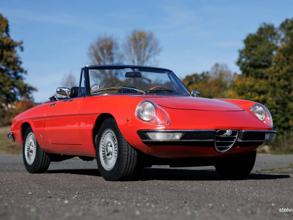 Image 5/43 of Alfa Romeo Spider Veloce 2000 (1976)