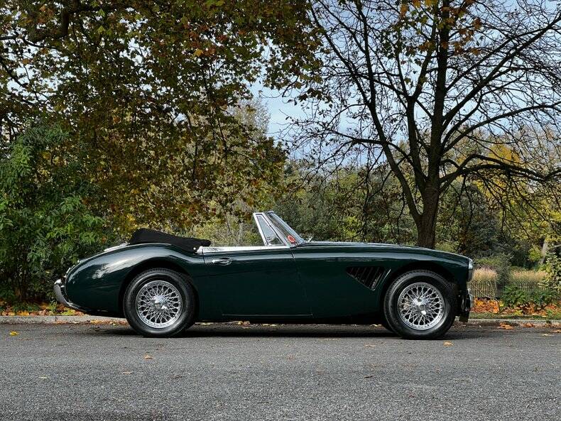 Imagen 12/50 de Austin-Healey 3000 Mk II (BJ7) (1964)