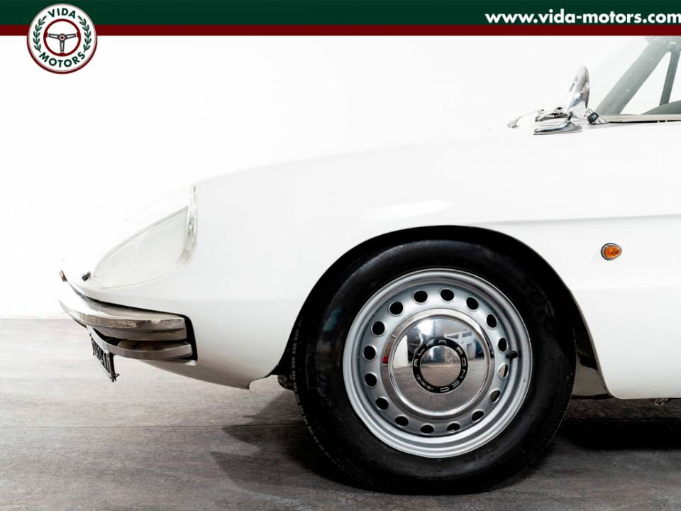 Image 15/41 of Alfa Romeo 1600 Spider Duetto (1967)