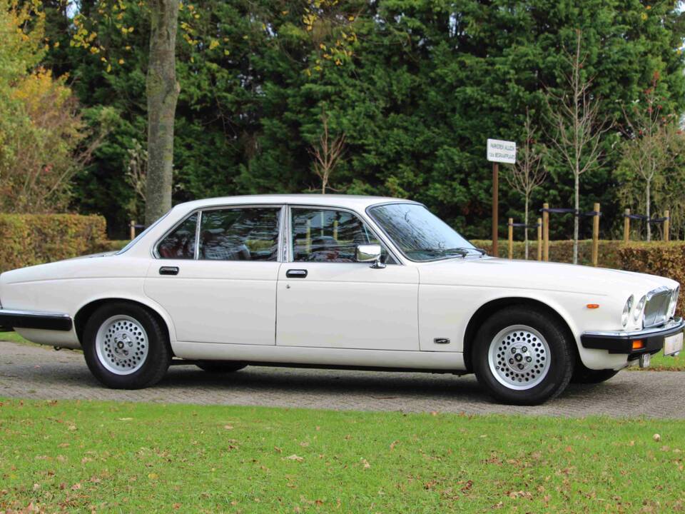 Bild 56/68 von Jaguar XJ 6 4.2 (1985)