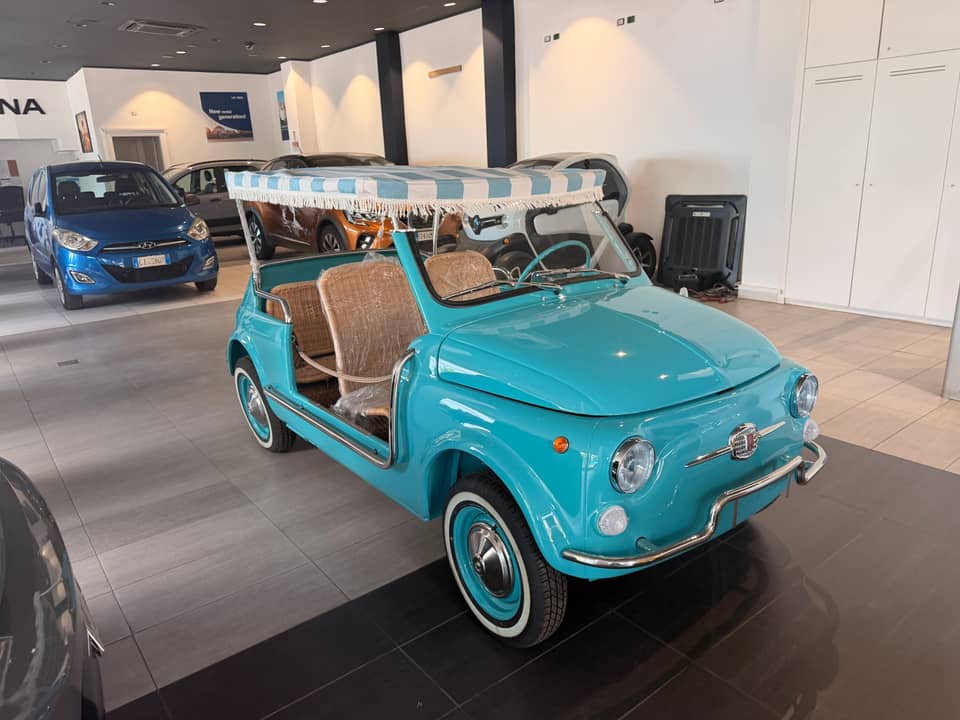 Image 29/90 of FIAT Ghia 500 Jolly (1970)